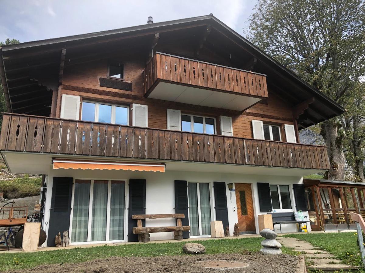Chalet Luzi Гріндельвальд Екстер'єр фото